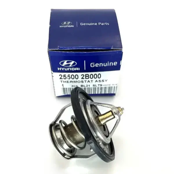 elantra thermostat 1